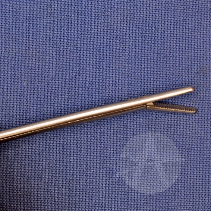 Alligator Forceps 4 Alligator Forceps - Image 4