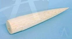 Red Star -Toy Rocket 4ce8fbb713dafe25292fbceaa436b39e.image .306x166