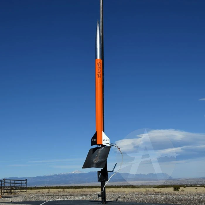 Arreauxbee-Hi 3 Arreauxbee-Hi - Image 3