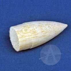 Corporal 23 Corporal -Toy Rocket 5381adaab9ee613d41b71a22efc42d15.image .700x700