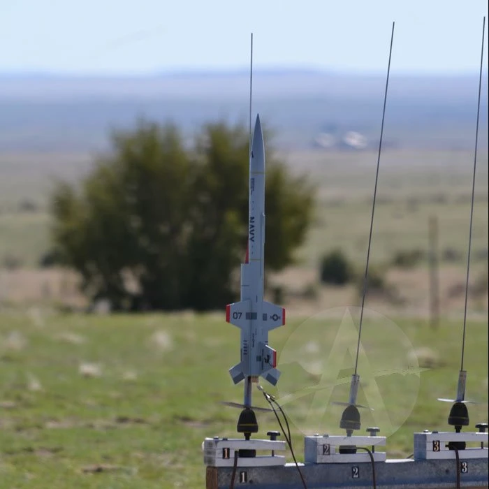 Sea Sting 4 Sea Sting - Image 4