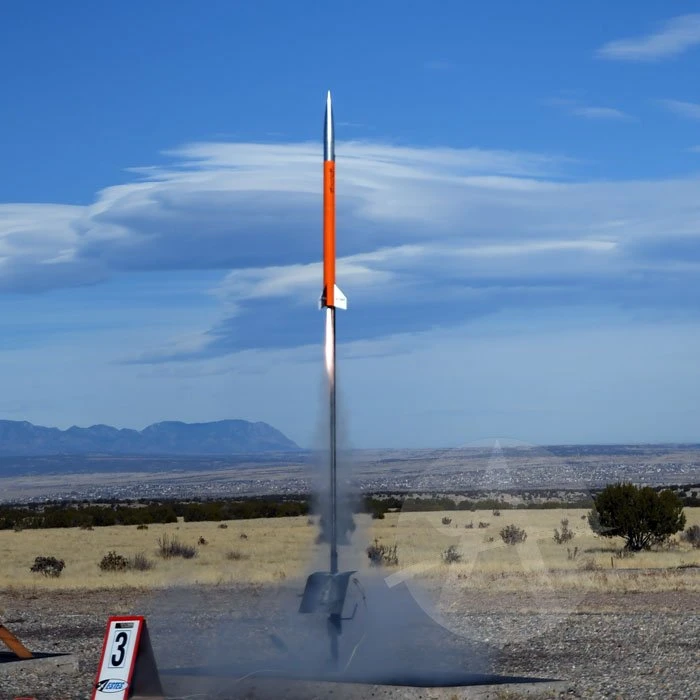 Arreauxbee-Hi 2 Arreauxbee-Hi - Image 2