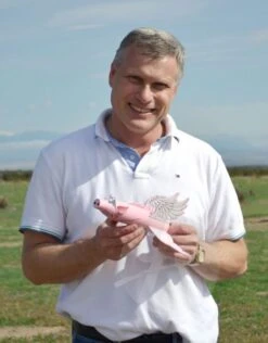 Pigasus -Toy Rocket 96562c058a5ef7a6752a4291c4bdcd02.image .548x700