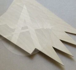 IRIS High Power Payloader 13 IRIS High Power Payloader -Toy Rocket a5f6d6decaf2882c3c44124c1ab212d4.image .300x277