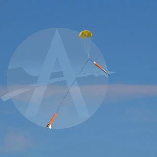 Arreauxbee-Hi 20 Arreauxbee-Hi - Image 20