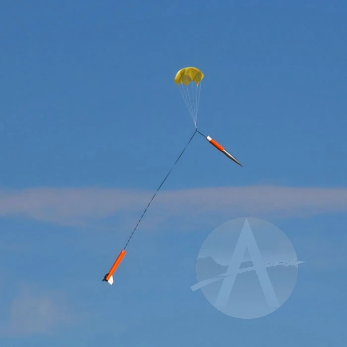 Arreauxbee-Hi 6 Arreauxbee-Hi - Image 6